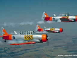 00305N SAAF Harvard Team